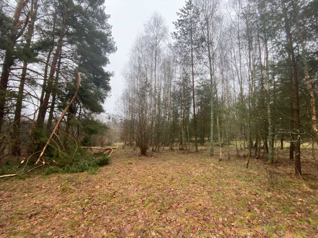 Działka rekreacyjna Głęboczek. Zdjęcie 1