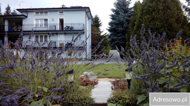 dom wolnostojący, 12 pokoi Rymanów-Zdrój. Zdjęcie 1