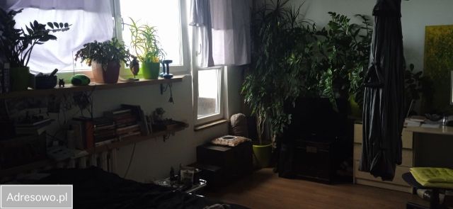 Mieszkanie 2-pokojowe Świnoujście, ul. Grunwaldzka. Zdjęcie 1