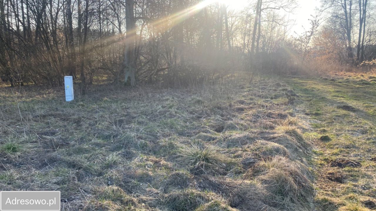 Działka siedliskowa Dobrzyniec. Zdjęcie 3