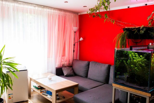 Mieszkanie 2-pokojowe Przemyśl Kazanów, ul. Ignacego Paderewskiego. Zdjęcie 3