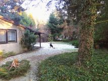 Działka rekreacyjna Bugaj Barcinek, ul. Kasztanowa. Zdjęcie 2