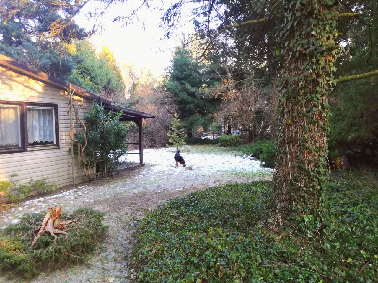 Działka rekreacyjna Bugaj Barcinek, ul. Kasztanowa. Zdjęcie 3