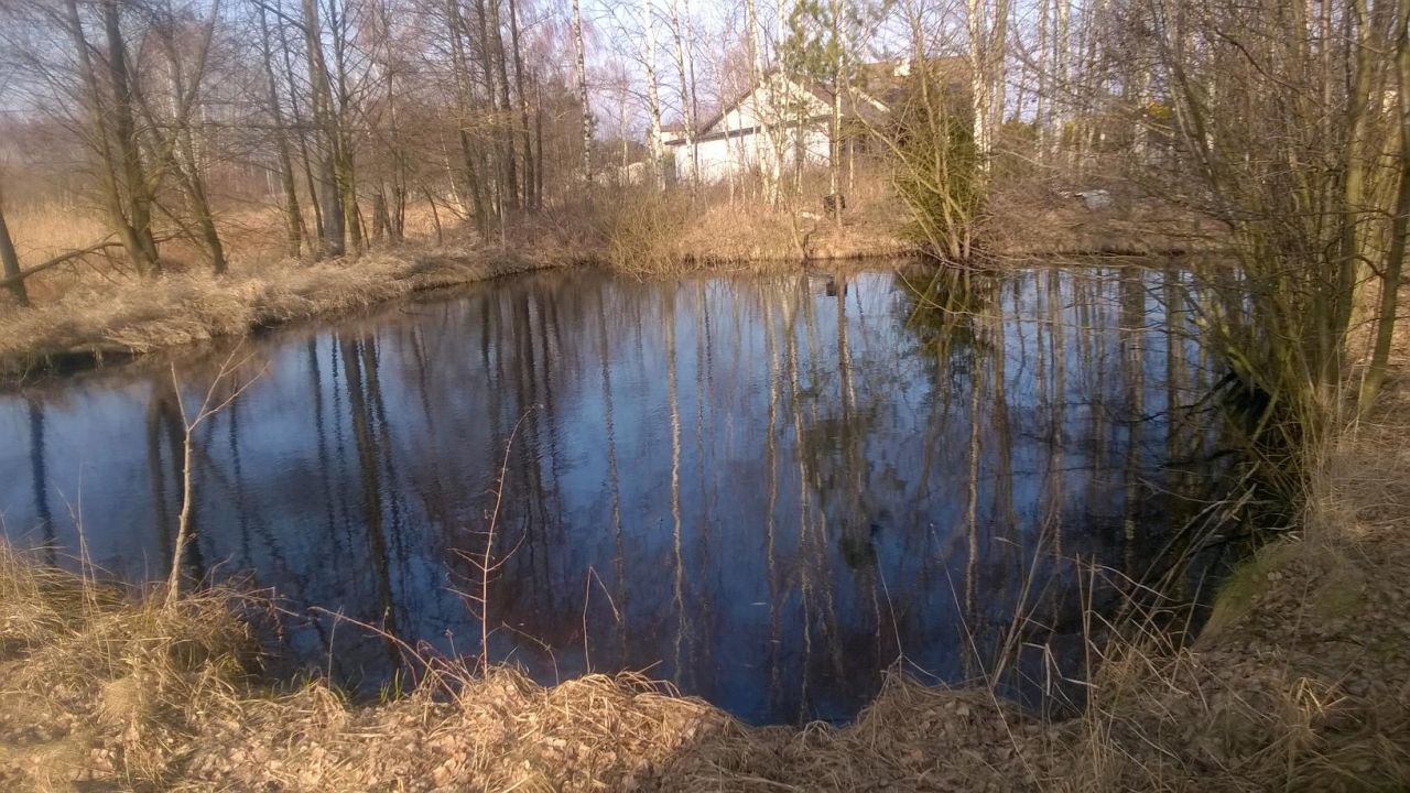 Działka rolna Jedlanka Kępiny. Zdjęcie 7