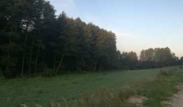 Działka rolno-budowlana Żałe. Zdjęcie 1