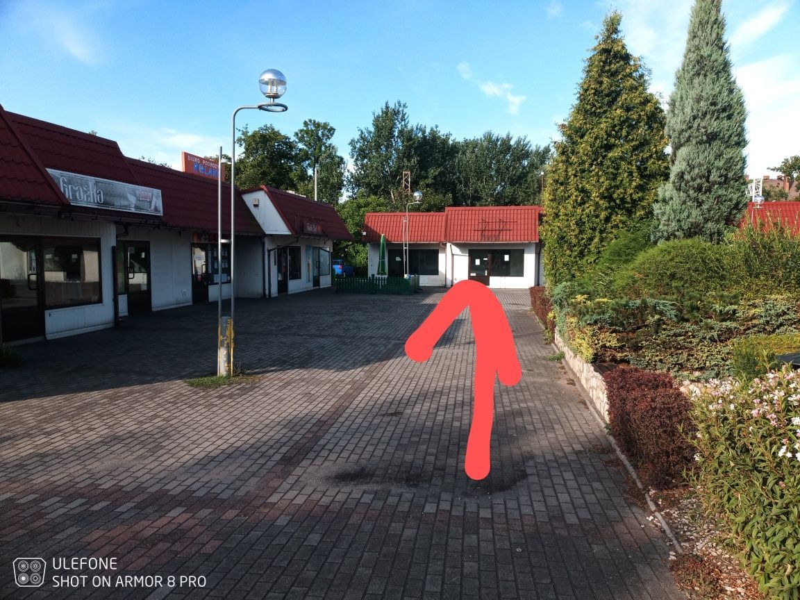 Lokal Zdzieszowice. Zdjęcie 7