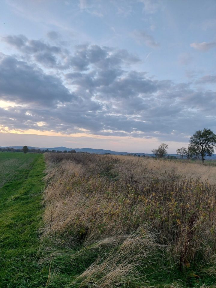 Działka budowlana Osiek Łużycki. Zdjęcie 4