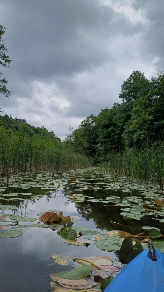 dom letniskowy, 3 pokoje Rybakowo, ul. Borówkowa. Zdjęcie 3