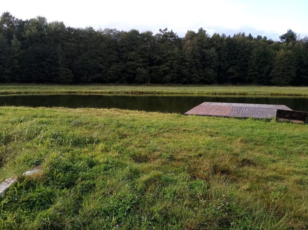 Działka rolno-budowlana Szczeglino. Zdjęcie 2