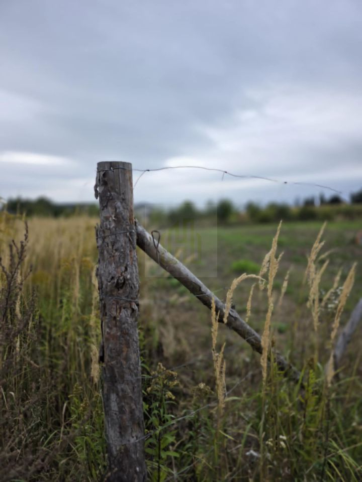 Działka budowlana Konstantów. Zdjęcie 8