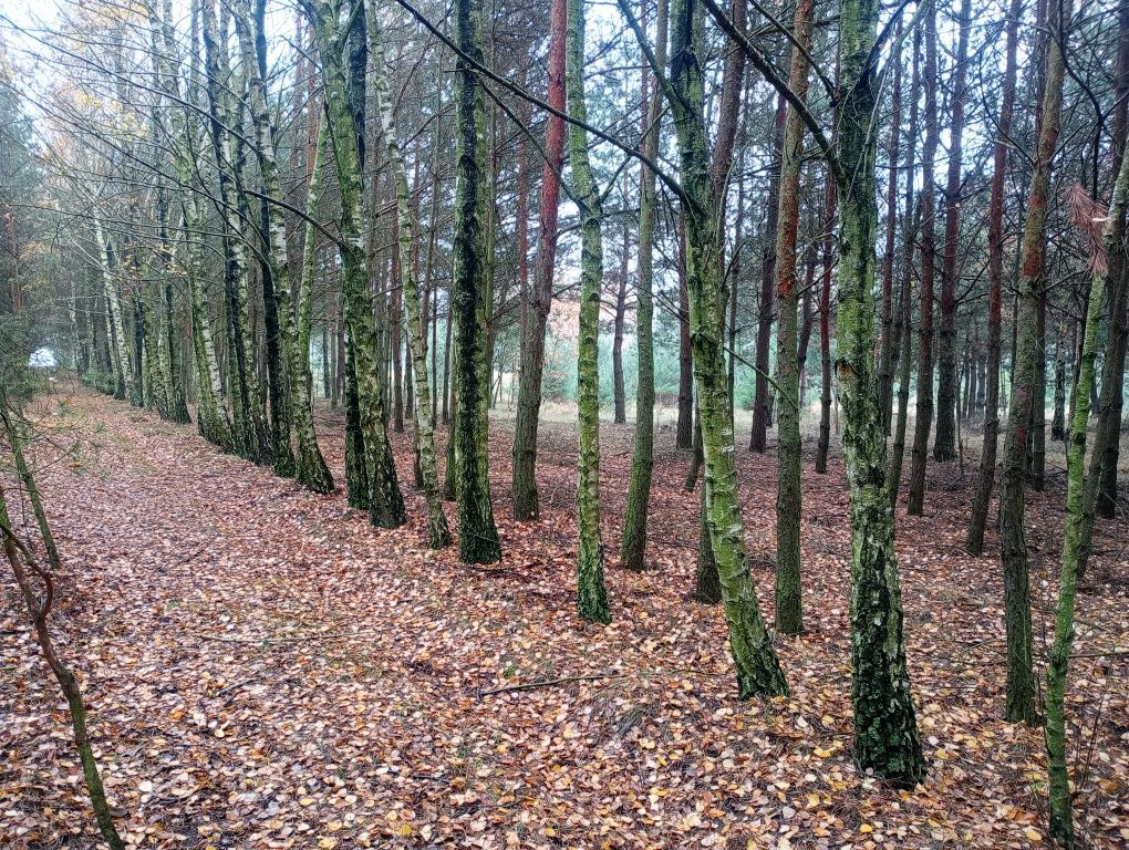 Działka rolna Mstów. Zdjęcie 7