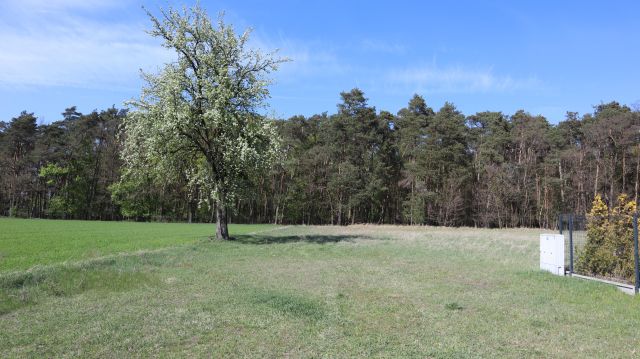 Działka budowlana Charbice Dolne. Zdjęcie 8