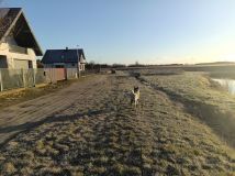 Działka budowlana Darłowo Centrum, ul. Wiśniowa. Zdjęcie 2