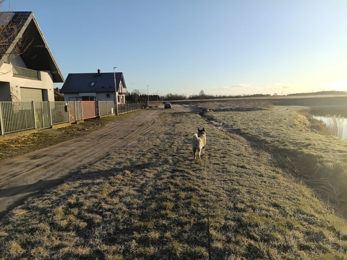 Działka budowlana Darłowo Centrum, ul. Wiśniowa. Zdjęcie 3