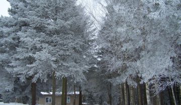 dom wolnostojący, 3 pokoje Adamowo