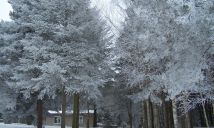 dom wolnostojący, 3 pokoje Adamowo. Zdjęcie 1