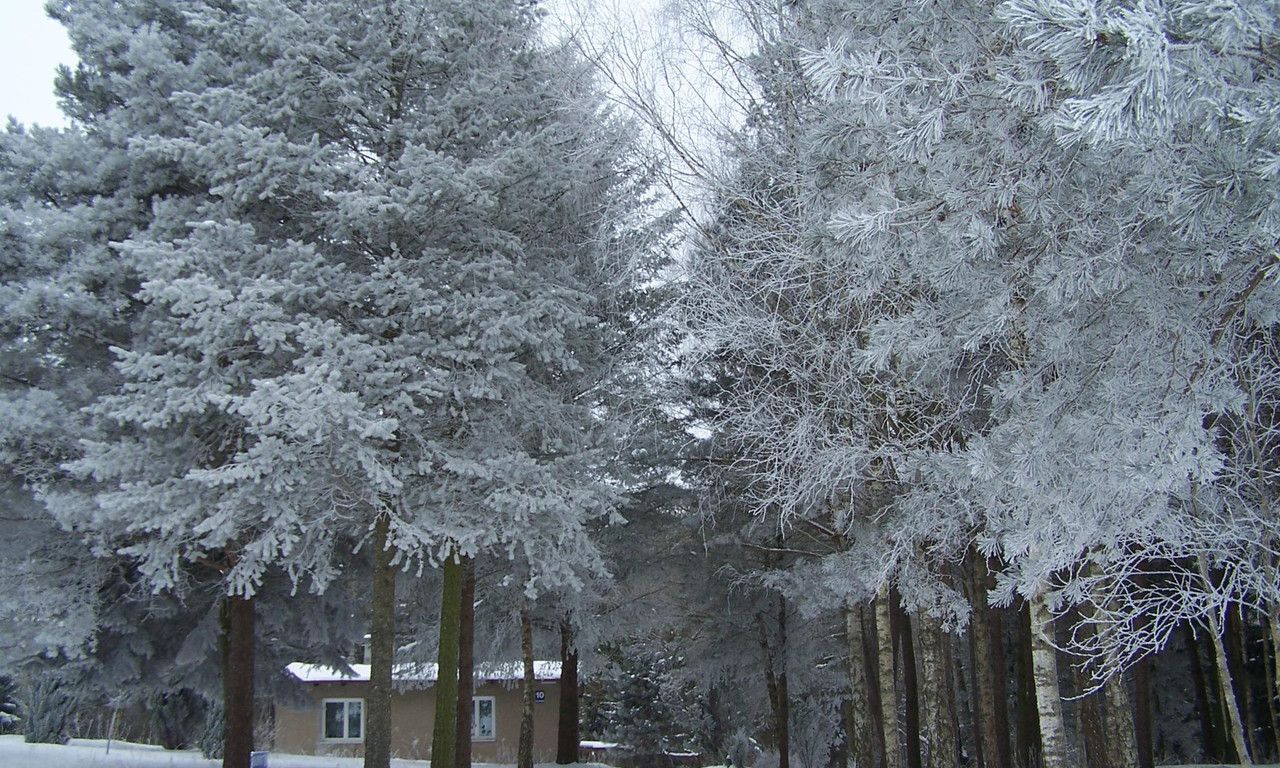 dom wolnostojący, 3 pokoje Adamowo. Zdjęcie 2
