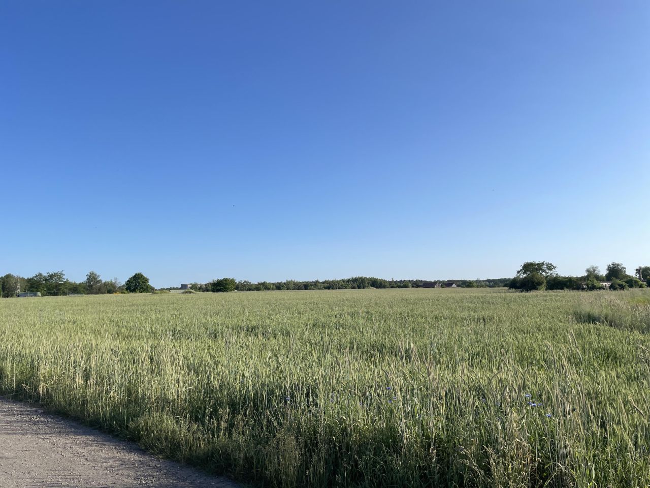 Działka inwestycyjna Prusice, ul. Polna. Zdjęcie 8