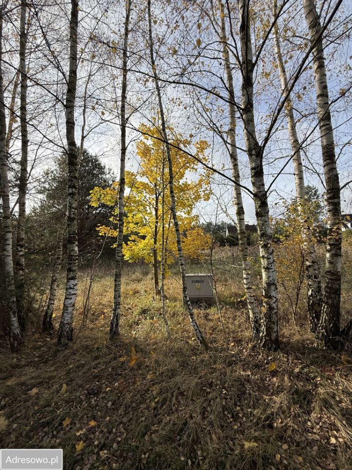 Działka budowlana Semlin, os. Leśne. Zdjęcie 10