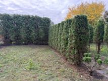 Działka rod Częstochowa Błeszno. Zdjęcie 3