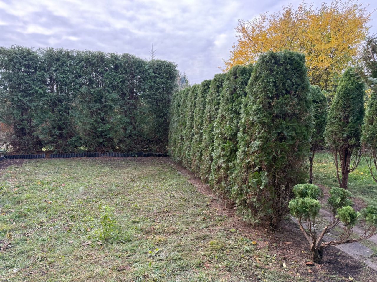 Działka rod Częstochowa Błeszno. Zdjęcie 4