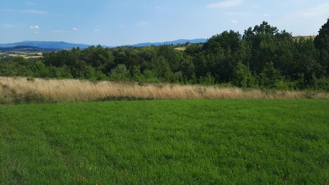 Działka rolna Łukowica Zawada, brak nazwy. Zdjęcie 1