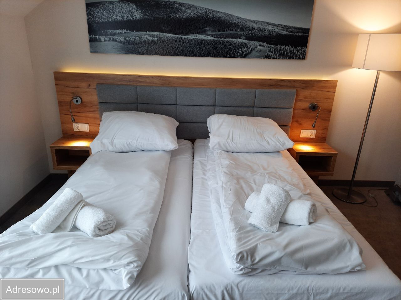 Lokal Sienna. Zdjęcie 8