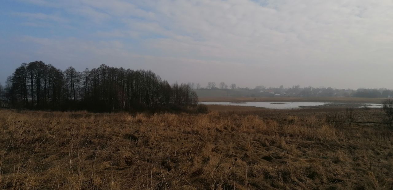 Działka budowlana Unieszewo. Zdjęcie 3