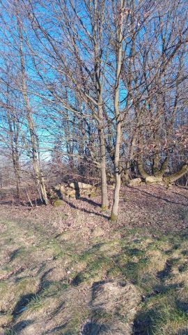 Działka budowlana Giebułtów Augustów. Zdjęcie 1