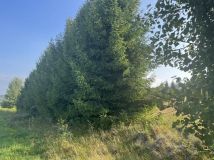 Działka budowlana Ołpiny. Zdjęcie 4