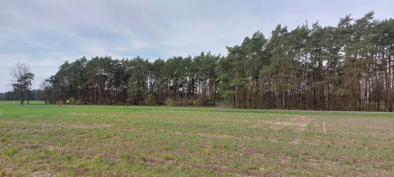 Działka budowlana Mierzączka Duża. Zdjęcie 1