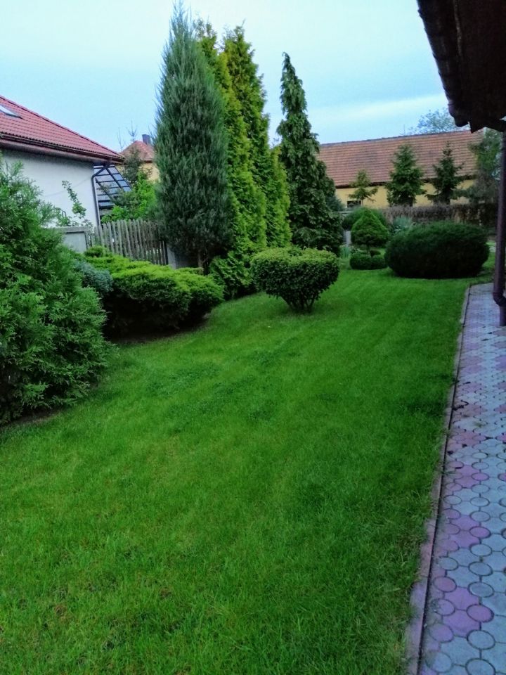 dom wolnostojący, 4 pokoje Strzałkowo, Księdza Marusarza. Zdjęcie 4