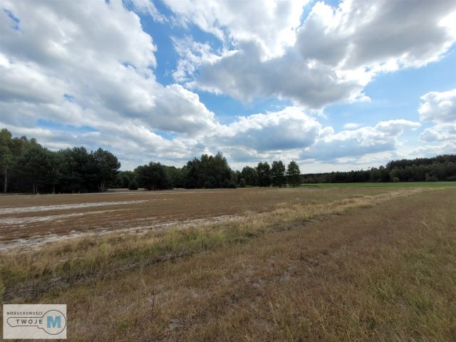 Działka rekreacyjna Stanowiska. Zdjęcie 12