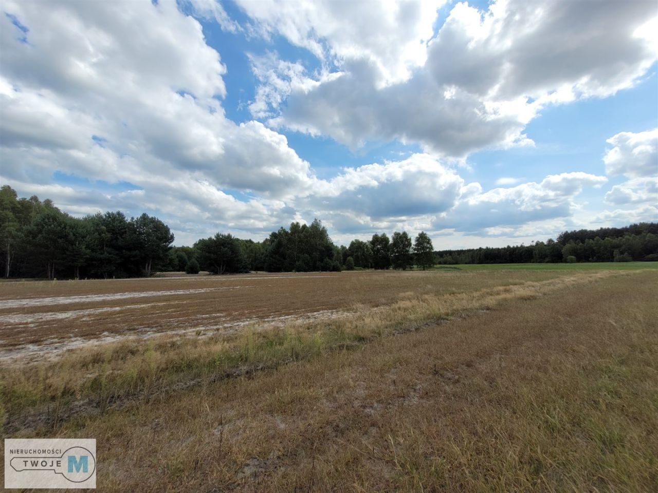 Działka rekreacyjna Stanowiska. Zdjęcie 12