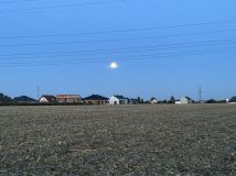 Działka budowlana Żory Folwarki, ul. Bartnicza. Zdjęcie 2