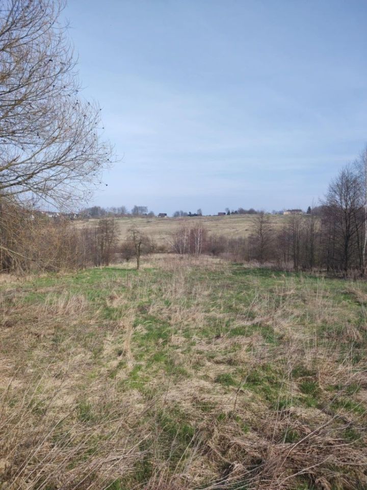 Działka rolno-budowlana Lednica Górna. Zdjęcie 7