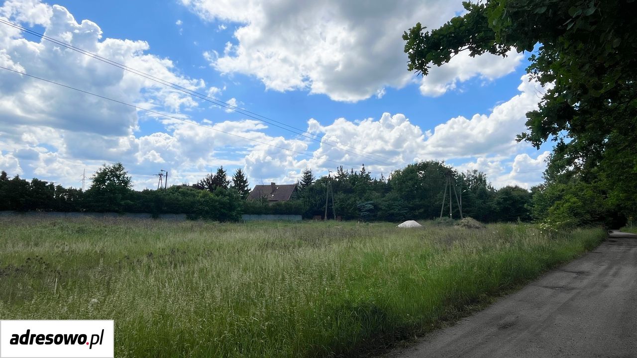Działka budowlana Sieniawa Żarska, ul. Kolonia. Zdjęcie 3