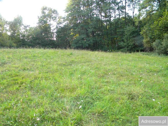 Działka budowlana Wielopole Skrzyńskie. Zdjęcie 2