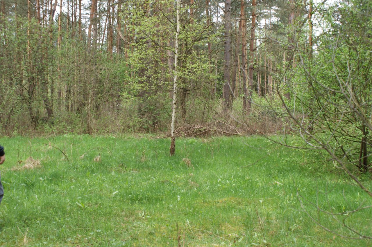 Działka rekreacyjna Czerwona Wola Myszkówka. Zdjęcie 27