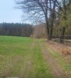 Działka rolno-budowlana Orpelów. Zdjęcie 3