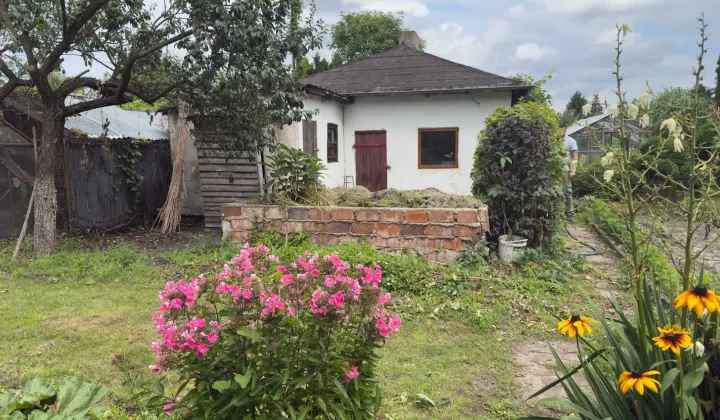 Działka rod Brodnica, ul. Paderewskiego