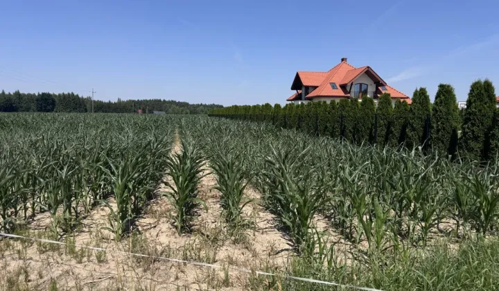 Działka budowlana Wólka Leśna