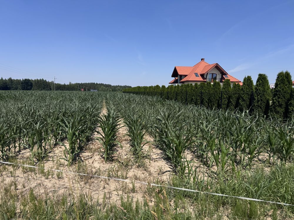 Działka budowlana Wólka Leśna. Zdjęcie 1
