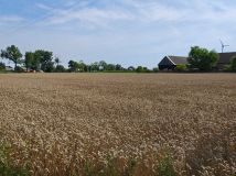 Działka rolno-budowlana Kuklinów. Zdjęcie 1