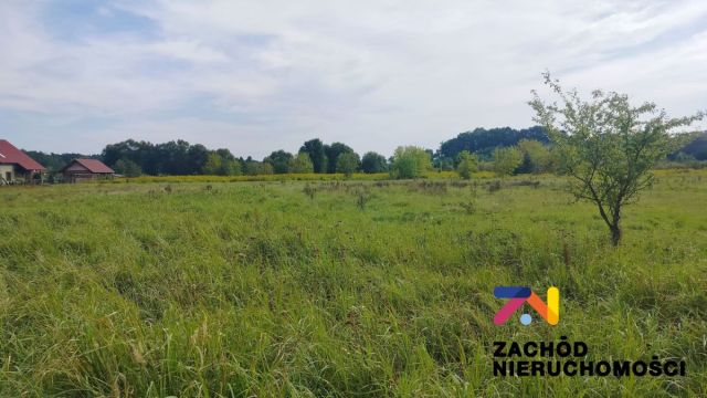 Działka rolno-budowlana Zabór, ul. Lipowa. Zdjęcie 3
