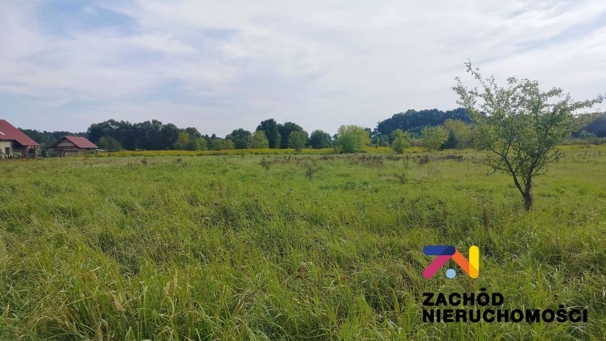 Działka rolno-budowlana Zabór, ul. Lipowa. Zdjęcie 3