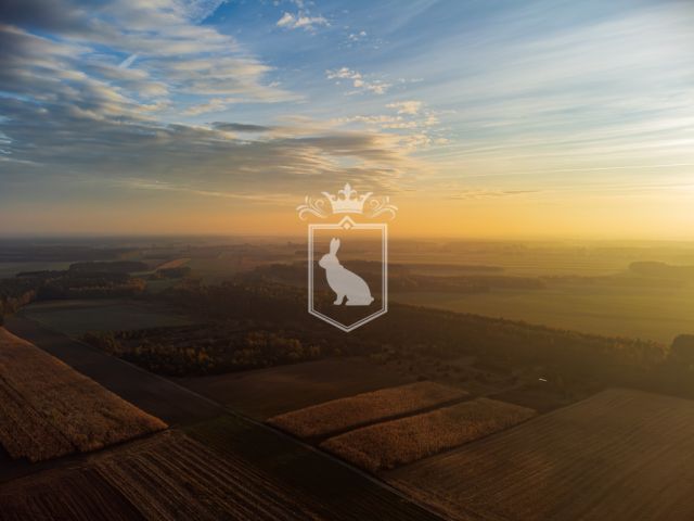 Działka budowlana Gnojno. Zdjęcie 19