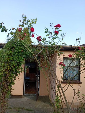 Działka rod Żnin. Zdjęcie 1