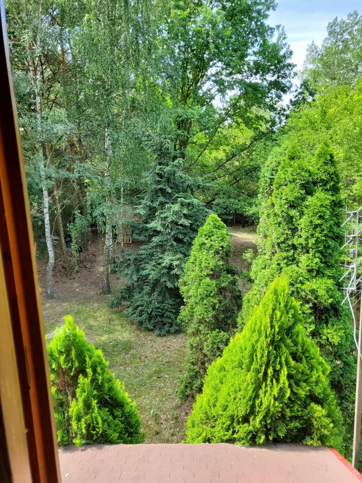 Działka budowlana Cieńsza. Zdjęcie 28
