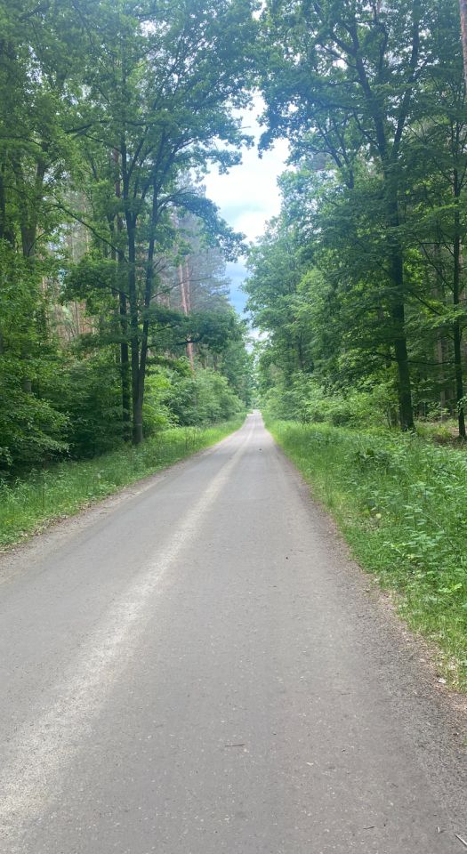 Działka budowlana Wszewilki Pomorska, Pomorska. Zdjęcie 3